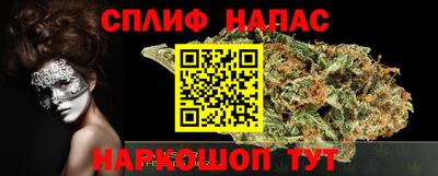 шишки Кинель