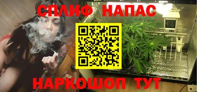 шишки Кинель