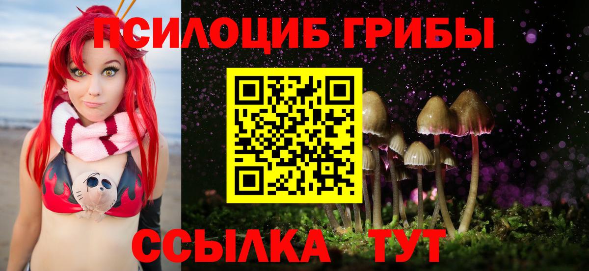 Котлас  Галлюциногенные грибы ЛСД  Вход с VPN 